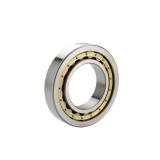 NJ2313-E-M1-C3 FAG Cylindrical Roller Bearings