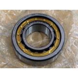 FAG X-LIFE NJ2207-E-XL-M1-C3 Cylindrical Roller Bearing 35mx72mx23m